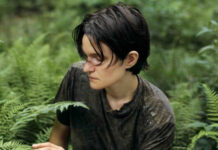 Adrianne Lenker – ‘songs’ and ‘instrumentals’ review Adrianne Lenker