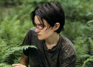 Adrianne Lenker – ‘songs’ and ‘instrumentals’ review Adrianne Lenker