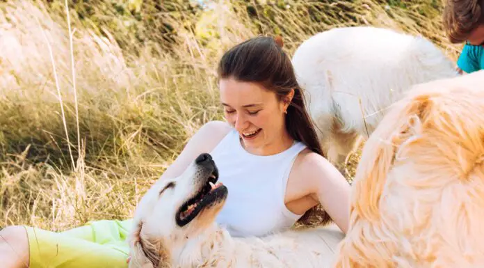 Sigrid backstage at Standon Calling: “If I could live on a tour bus – I would!” Sigird