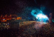 Standon Calling festival review: pooches and pop-stars at the glorious Hertfordshire weekender Standon Calling