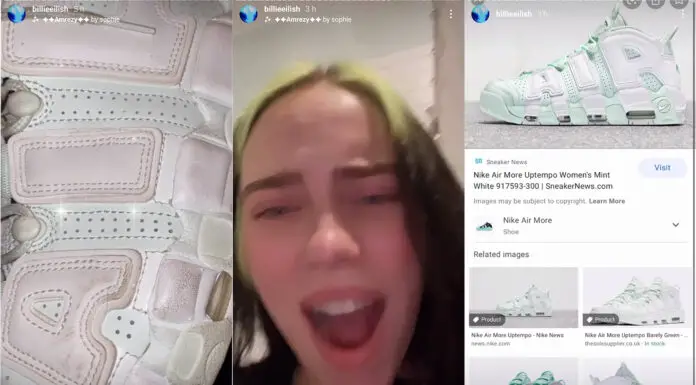 Billie Eilish’s trainers are the new “dress” Billie Eilish shoes colour the dress