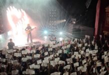 Project Fandom: Meet the fan organisers lighting up your favourite concerts Dylan fan project