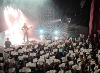 Project Fandom: Meet the fan organisers lighting up your favourite concerts Dylan fan project