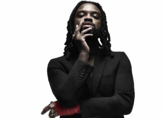 Genesis Owusu – ‘Smiling With No Teeth’ review: a disjointedly brilliant debut Genesis Owusu Smiling With No Teeth review