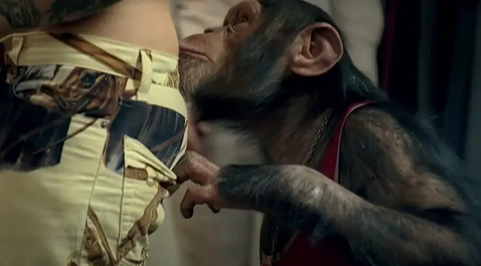 The best pop-punk music videos ever made Pop punk videos