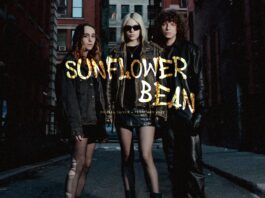 Sunflower Bean interview