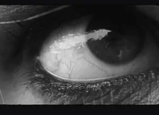 Did Wolf Alice just announce their upcoming third album? Wolf Alice