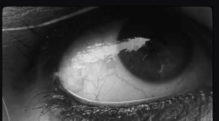 Did Wolf Alice just announce their upcoming third album? Wolf Alice