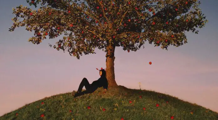 Slowthai – ‘Tyron’ review: a little too much naval-gazing from the king of Northampton TYRON