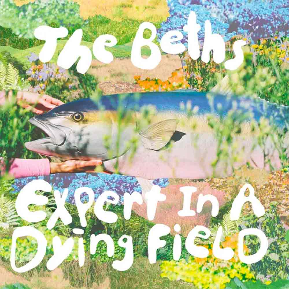 The Beths Expert In A Dying Field album cover