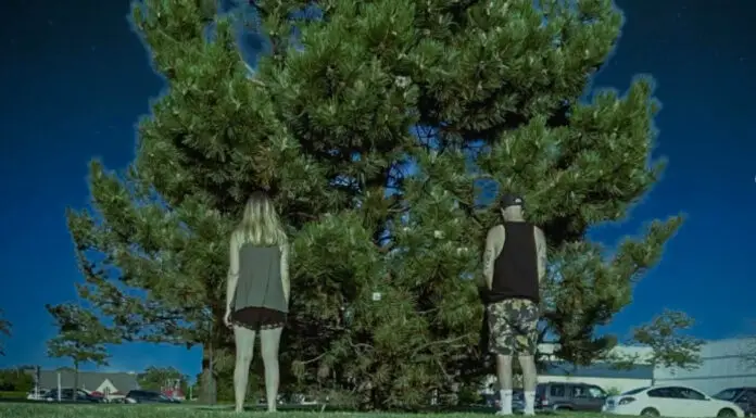 19 music pilgrimages to make before you die Music Pilgrimages Tree of Clues