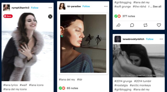 How Tumblr in 2012 set the tone for a decade of alt music Tumblr