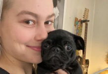 The 26 best songs about dogs Phoebe Bridgers dog