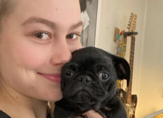 The 26 best songs about dogs Phoebe Bridgers dog