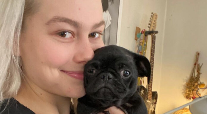The 26 best songs about dogs Phoebe Bridgers dog